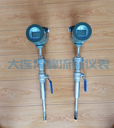 大连海峰质量流量计